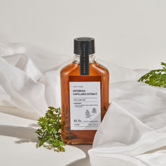 BOM JEN JEDEN EXTRAKT ARTEMISIA CAPILLARIS