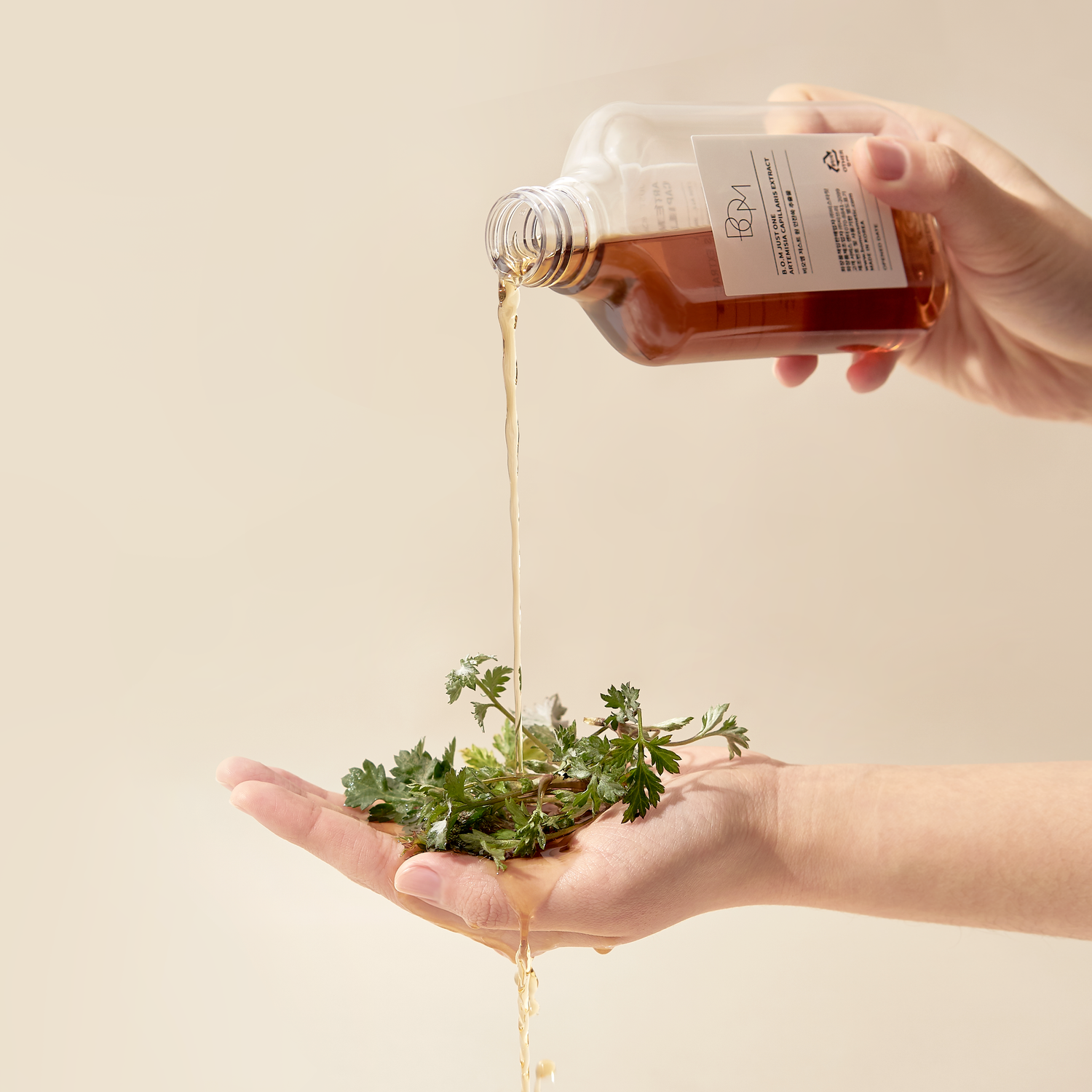 BOM JUST ONE HOUTTUYNIA CORDATA EXTRACT