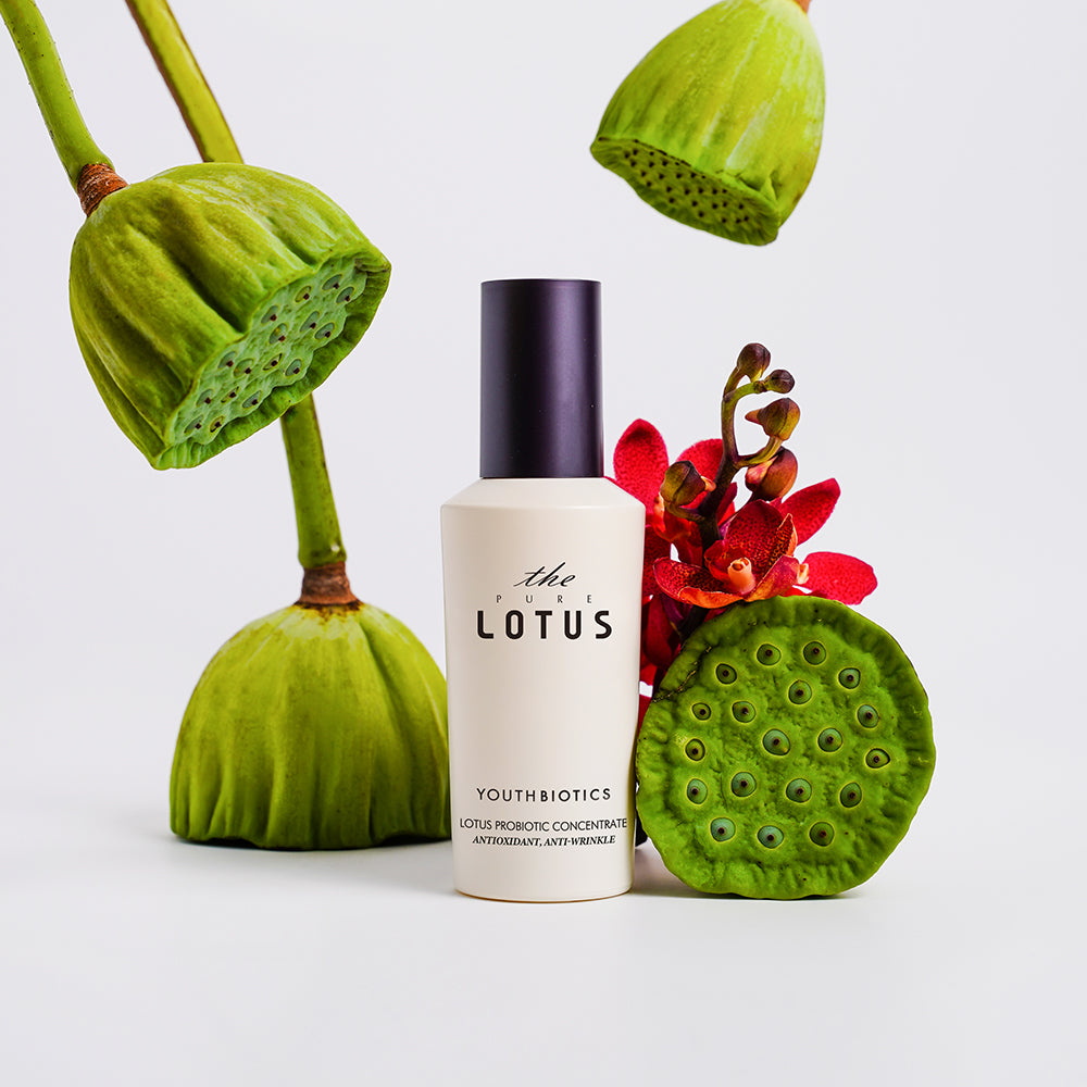Lotus Probiotic Concentrate